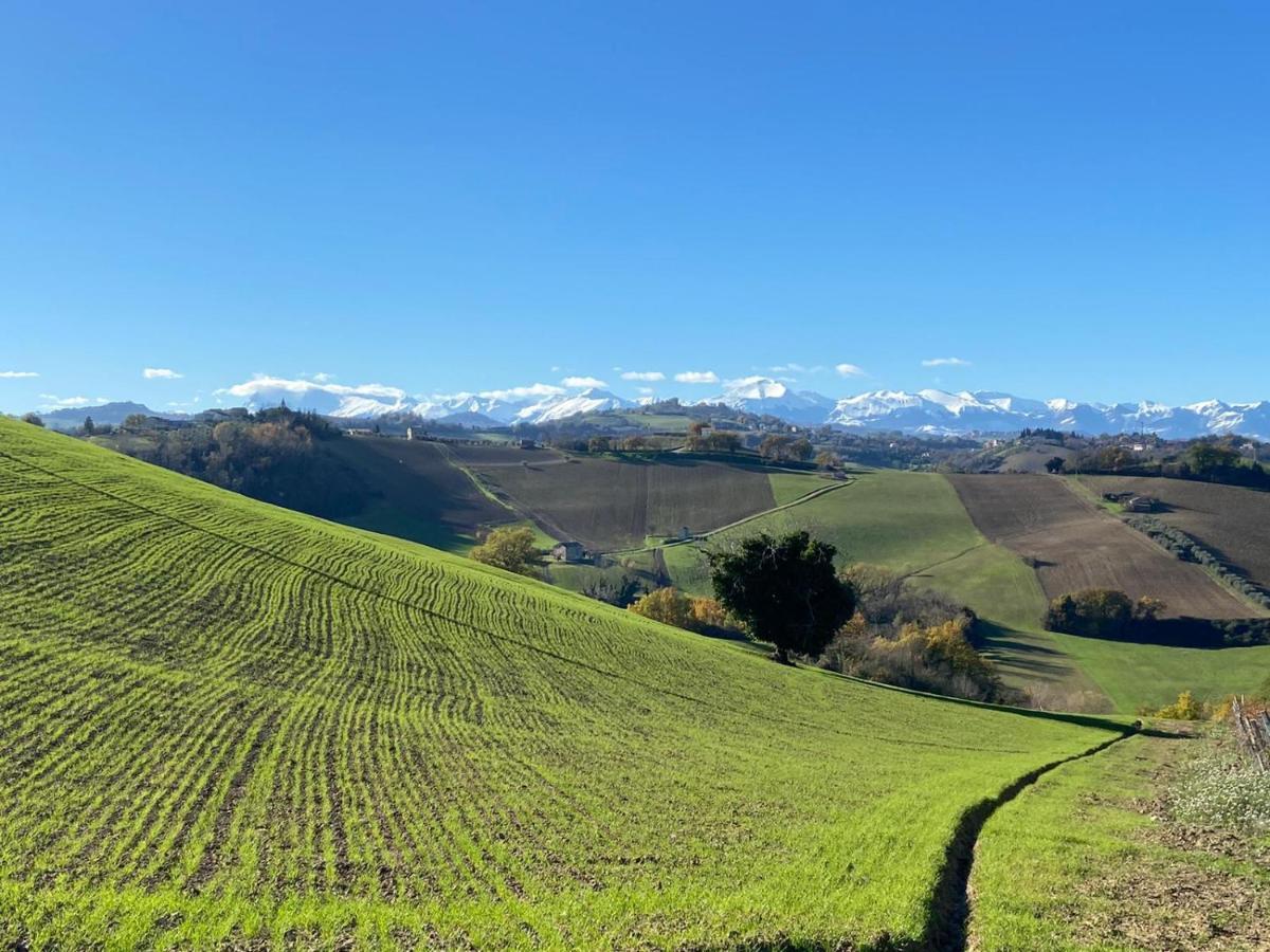Agriturismo Casafaro Petritoli ภายนอก รูปภาพ